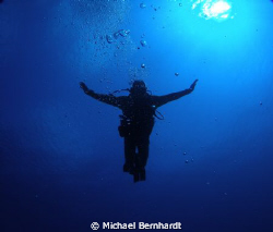 the dive goddess  arrives by Michael Bernhardt 